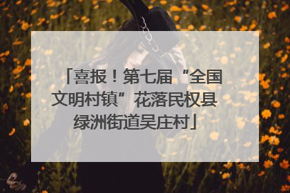 喜报！第七届“全国文明村镇”花落民权县绿洲街道吴庄村