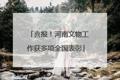 喜报！河南文物工作获多项全国表彰