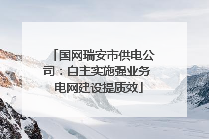 国网瑞安市供电公司：自主实施强业务 电网建设提质效