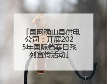 国网确山县供电公司：开展2025年国际档案日系列宣传活动