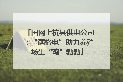 国网上杭县供电公司：“满格电”助力养殖场生“鸡”勃勃