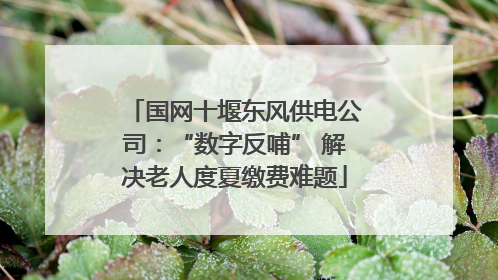 国网十堰东风供电公司：“数字反哺” 解决老人度夏缴费难题