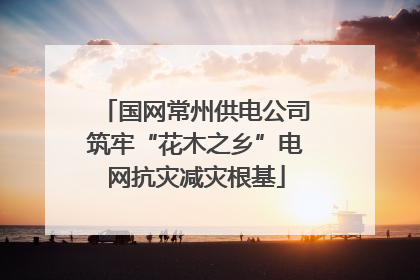 国网常州供电公司筑牢“花木之乡”电网抗灾减灾根基