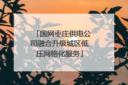 国网枣庄供电公司融合升级城区低压网格化服务