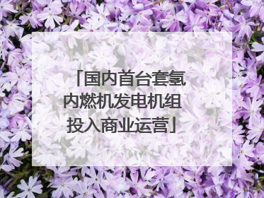 国内首台套氢内燃机发电机组投入商业运营