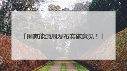 国家能源局发布实施意见！