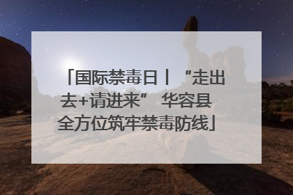 国际禁毒日丨“走出去+请进来” 华容县全方位筑牢禁毒防线