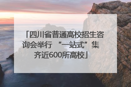 四川省普通高校招生咨询会举行 “一站式”集齐近600所高校