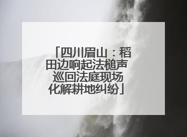 四川眉山：稻田边响起法槌声 巡回法庭现场化解耕地纠纷