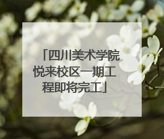 四川美术学院悦来校区一期工程即将完工