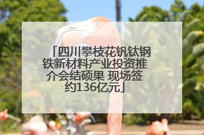四川攀枝花钒钛钢铁新材料产业投资推介会结硕果 现场签约136亿元