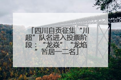 四川自贡征集“川超”队名进入投票阶段：“龙焱”“龙焰”暂居一二名