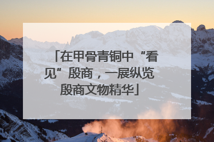 在甲骨青铜中“看见”殷商，一展纵览殷商文物精华