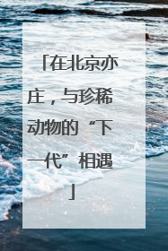 在北京亦庄，与珍稀动物的“下一代”相遇
