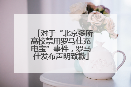 对于“北京多所高校禁用罗马仕充电宝”事件，罗马仕发布声明致歉