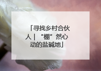 寻找乡村合伙人｜“棚”然心动的盐碱地