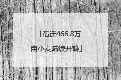 宿迁466.8万亩小麦陆续开镰