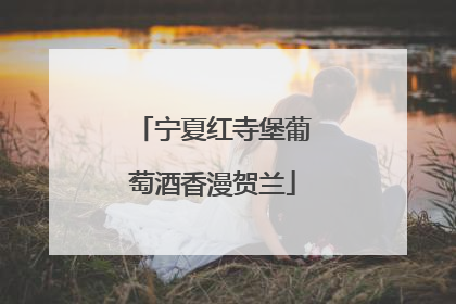 宁夏红寺堡葡萄酒香漫贺兰