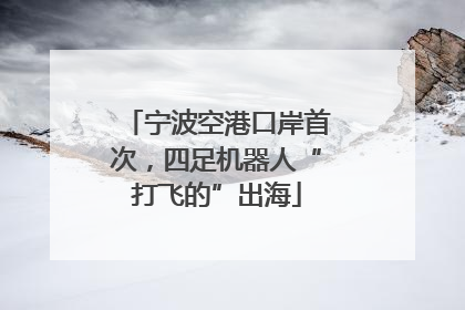 宁波空港口岸首次，四足机器人“打飞的”出海