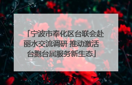 宁波市奉化区台联会赴丽水交流调研 推动激活台胞台属服务新生态