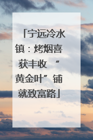 宁远冷水镇：烤烟喜获丰收 “黄金叶”铺就致富路