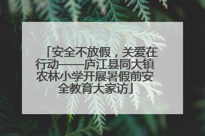 安全不放假，关爱在行动——庐江县同大镇农林小学开展暑假前安全教育大家访