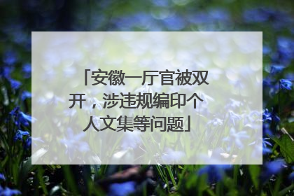 安徽一厅官被双开，涉违规编印个人文集等问题