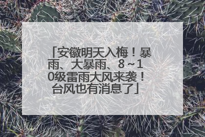 安徽明天入梅！暴雨、大暴雨、8～10级雷雨大风来袭！台风也有消息了