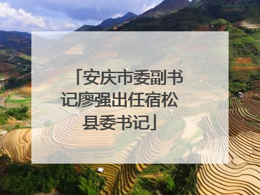 安庆市委副书记廖强出任宿松县委书记