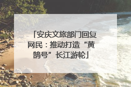 安庆文旅部门回复网民：推动打造“黄鹄号”长江游轮