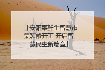 安阳菜鲜生智慧市集装修开工 开启智慧民生新篇章