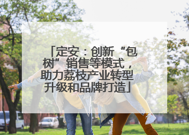 定安：创新“包树”销售等模式，助力荔枝产业转型升级和品牌打造