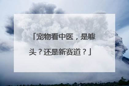 宠物看中医，是噱头？还是新赛道？