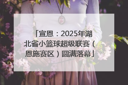 宣恩：2025年湖北省小篮球超级联赛（恩施赛区）圆满落幕