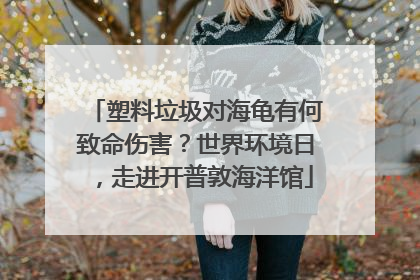 塑料垃圾对海龟有何致命伤害？世界环境日，走进开普敦海洋馆