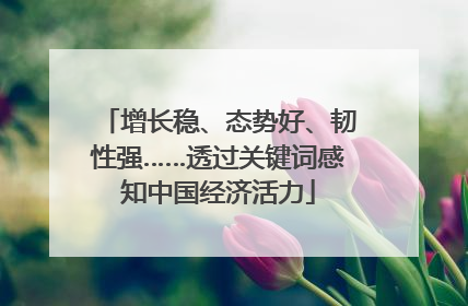 增长稳、态势好、韧性强……透过关键词感知中国经济活力