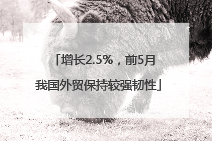 增长2.5%，前5月我国外贸保持较强韧性