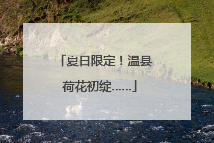 夏日限定！温县荷花初绽……