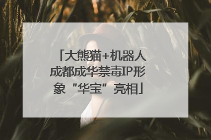 大熊猫+机器人 成都成华禁毒IP形象“华宝”亮相