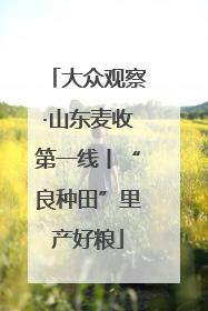 大众观察·山东麦收第一线丨“良种田”里产好粮