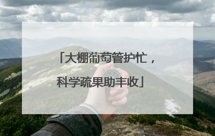 大棚葡萄管护忙，科学疏果助丰收