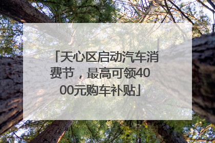 天心区启动汽车消费节，最高可领4000元购车补贴