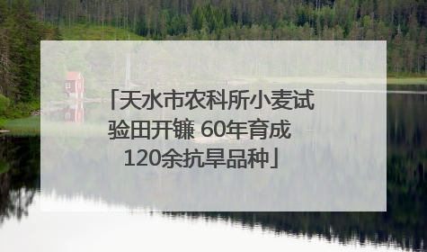 天水市农科所小麦试验田开镰 60年育成120余抗旱品种