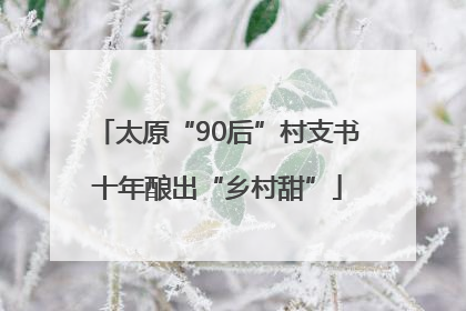 太原“90后”村支书十年酿出“乡村甜”