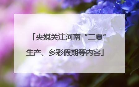 央媒关注河南“三夏”生产、多彩假期等内容