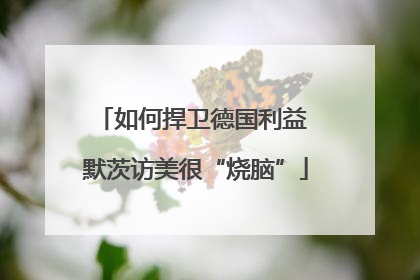 如何捍卫德国利益 默茨访美很“烧脑”