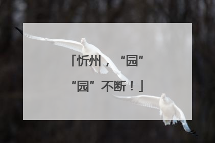 忻州，“园”“园”不断！