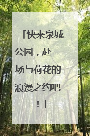 快来泉城公园，赴一场与荷花的浪漫之约吧！