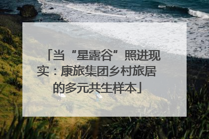 当“星露谷”照进现实：康旅集团乡村旅居的多元共生样本