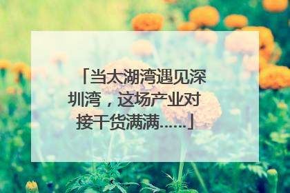 当太湖湾遇见深圳湾，这场产业对接干货满满……